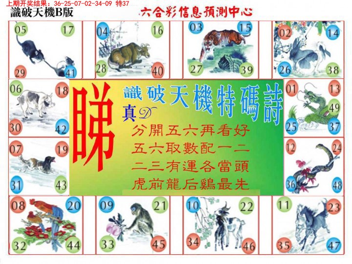 2025027期识破天机B版