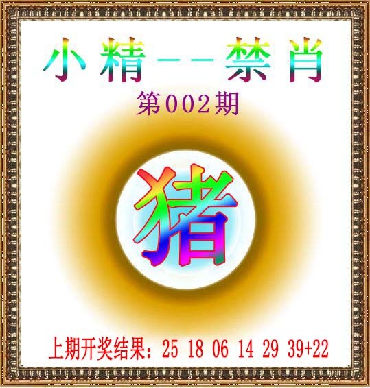 2025002期小精禁肖
