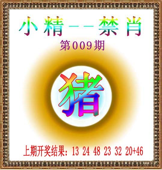 2025009期小精禁肖
