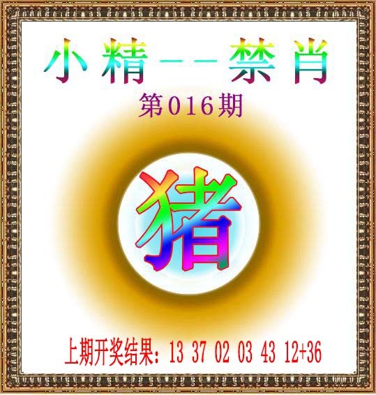 2025016期小精禁肖