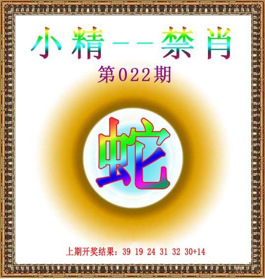 2025022期小精禁肖