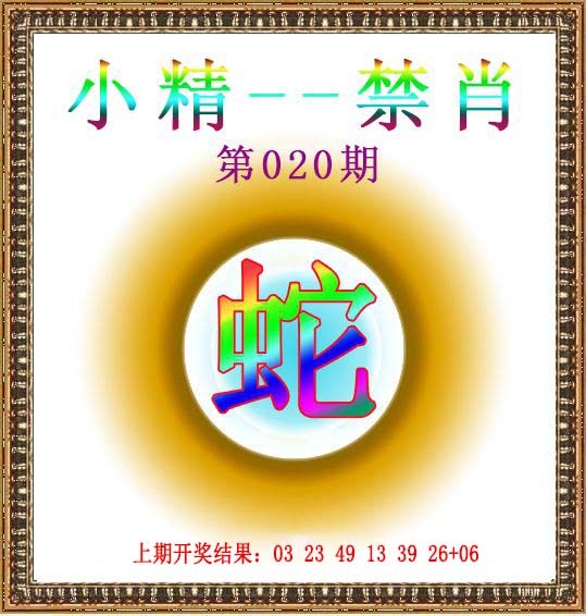 2025020期小精禁肖