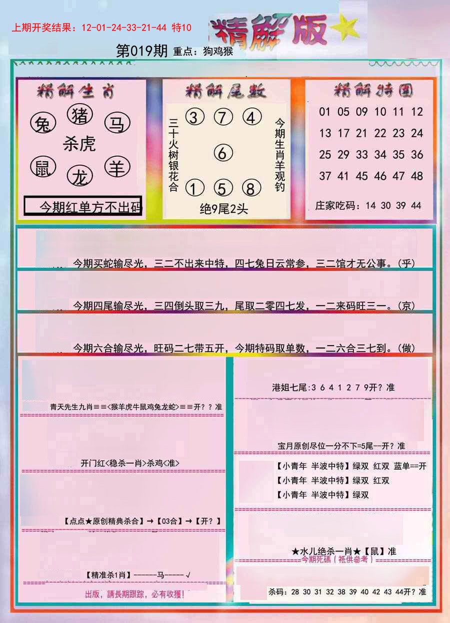2025019期精解版