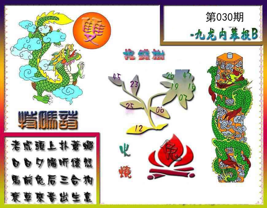 2025030期九龙内幕特肖图a