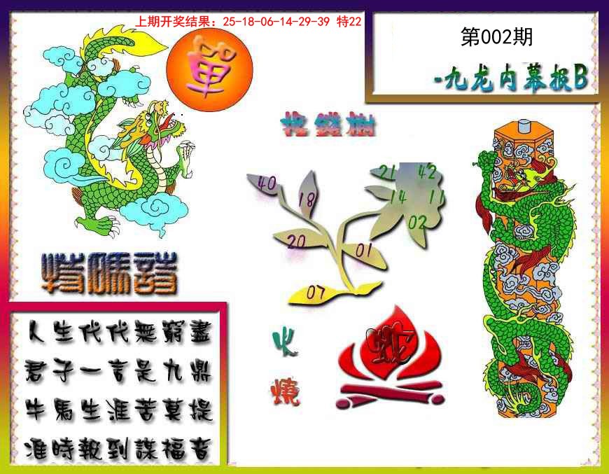 2025002期九龙内幕特肖图a