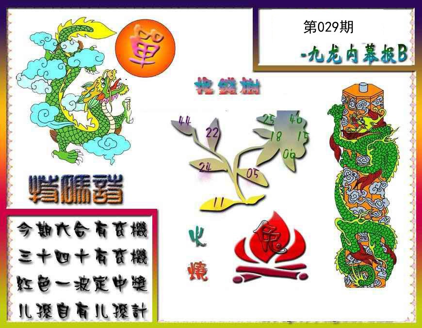 2025029期九龙内幕特肖图a