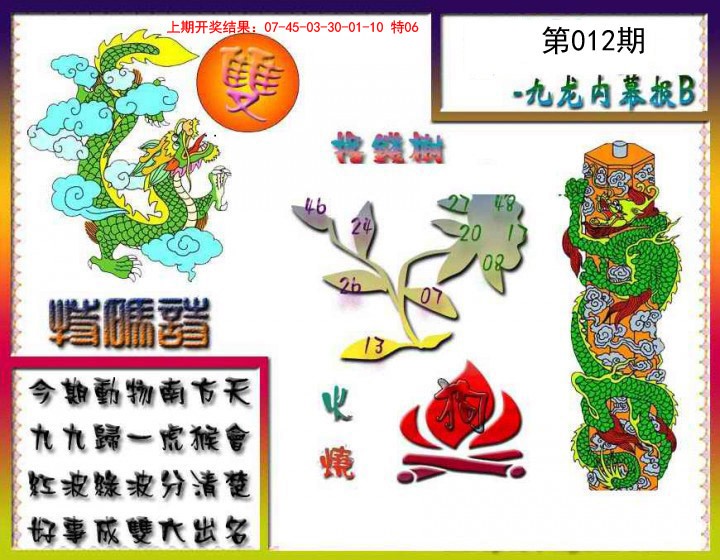 2025012期九龙内幕特肖图a