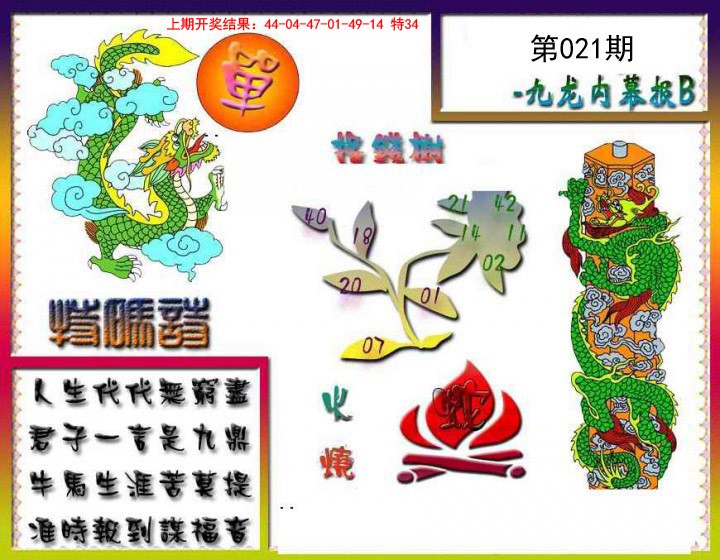 2025021期九龙内幕特肖图a