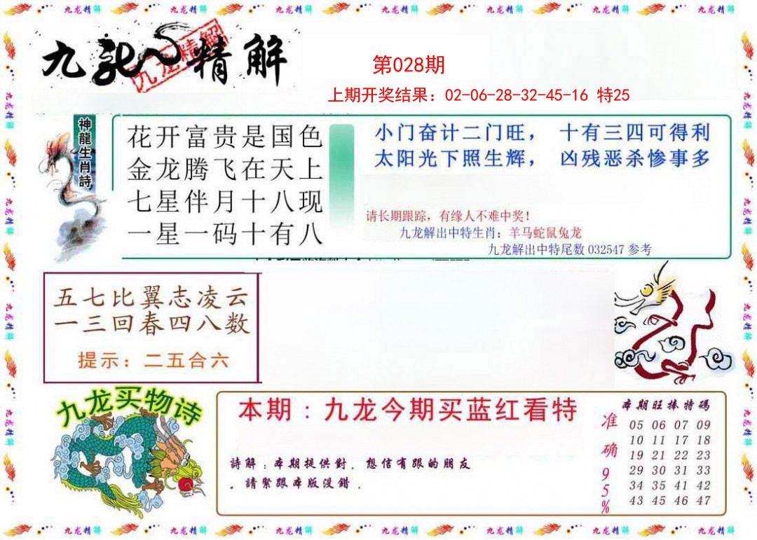 2025028期九龙精解