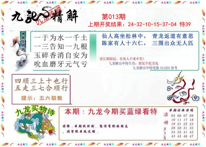 2025013期九龙精解