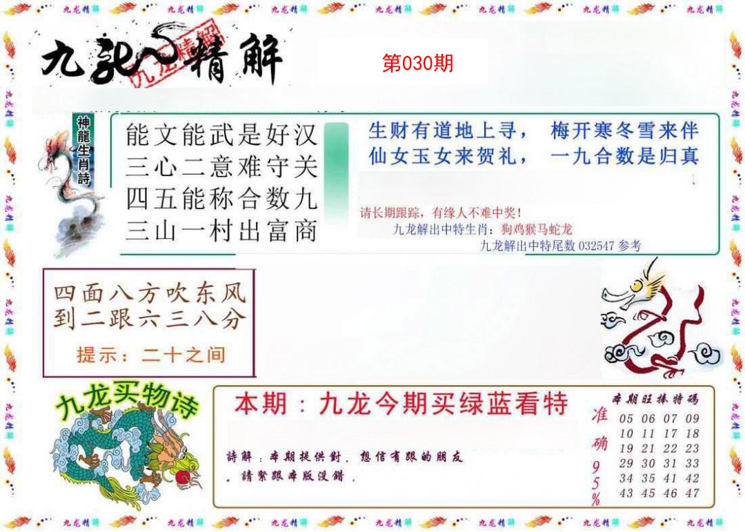 2025030期九龙精解