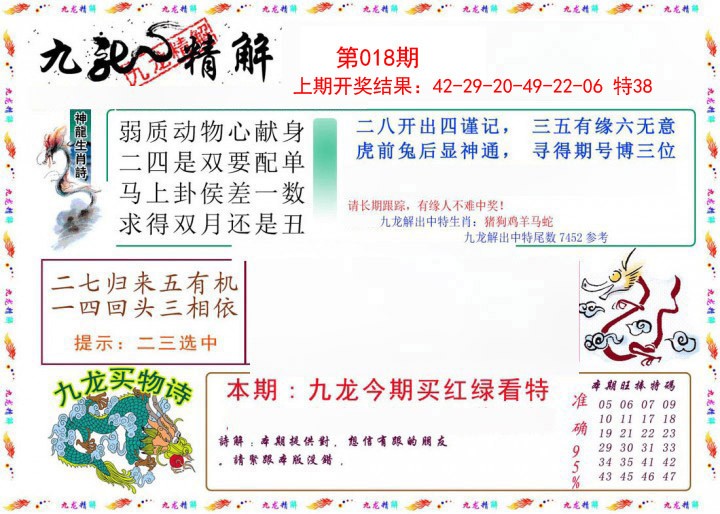 2025018期九龙精解