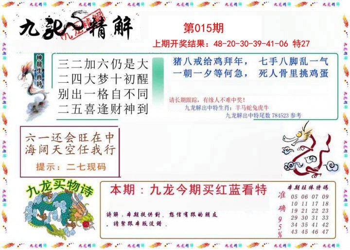 2025015期九龙精解