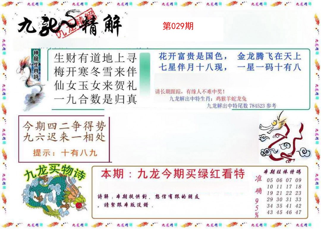 2025029期九龙精解