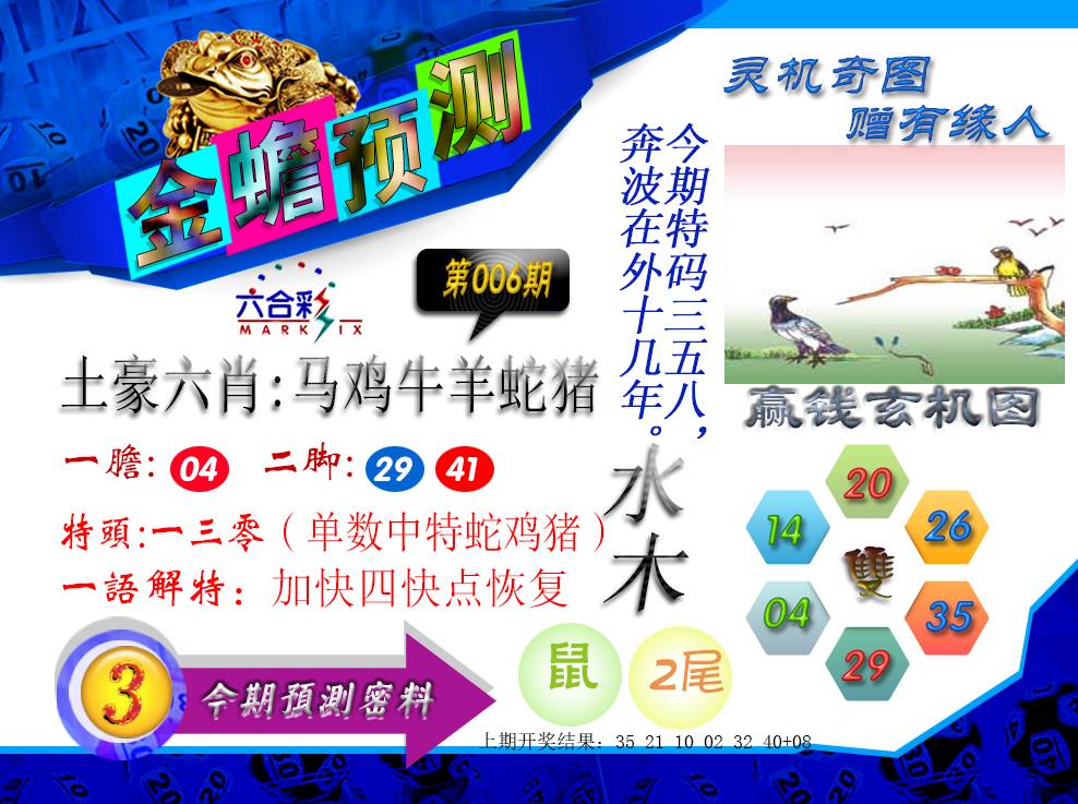 2025006期金蟾预测