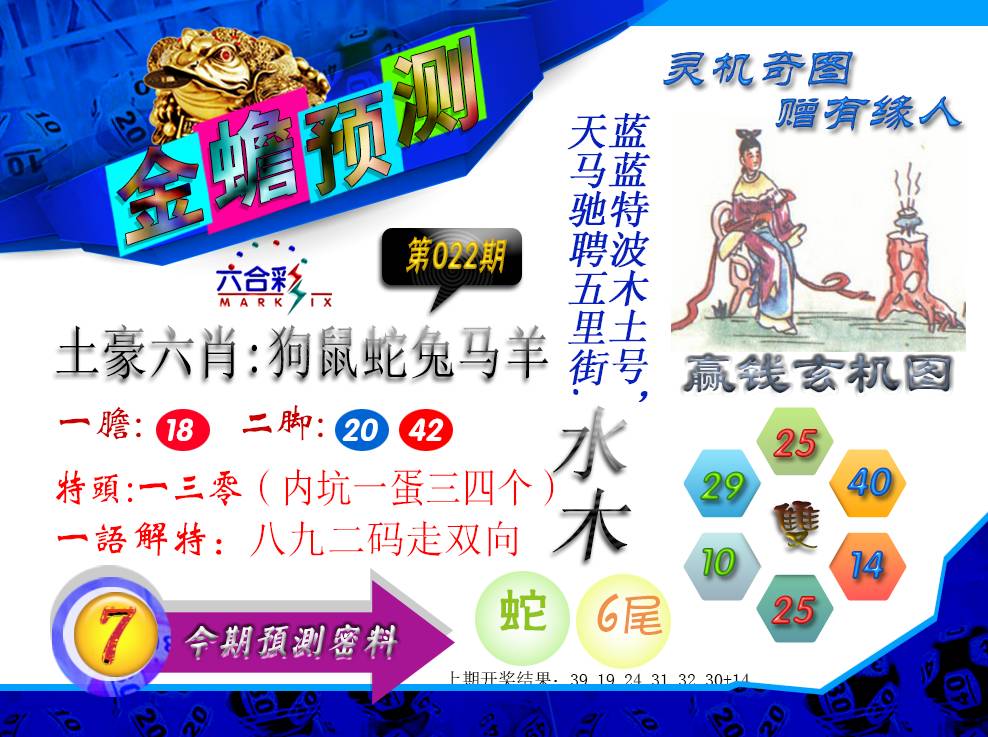 2025022期金蟾预测