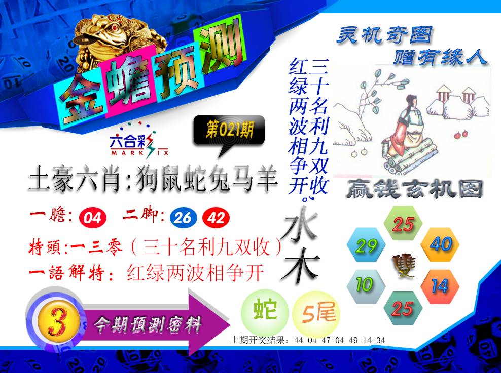 2025021期金蟾预测