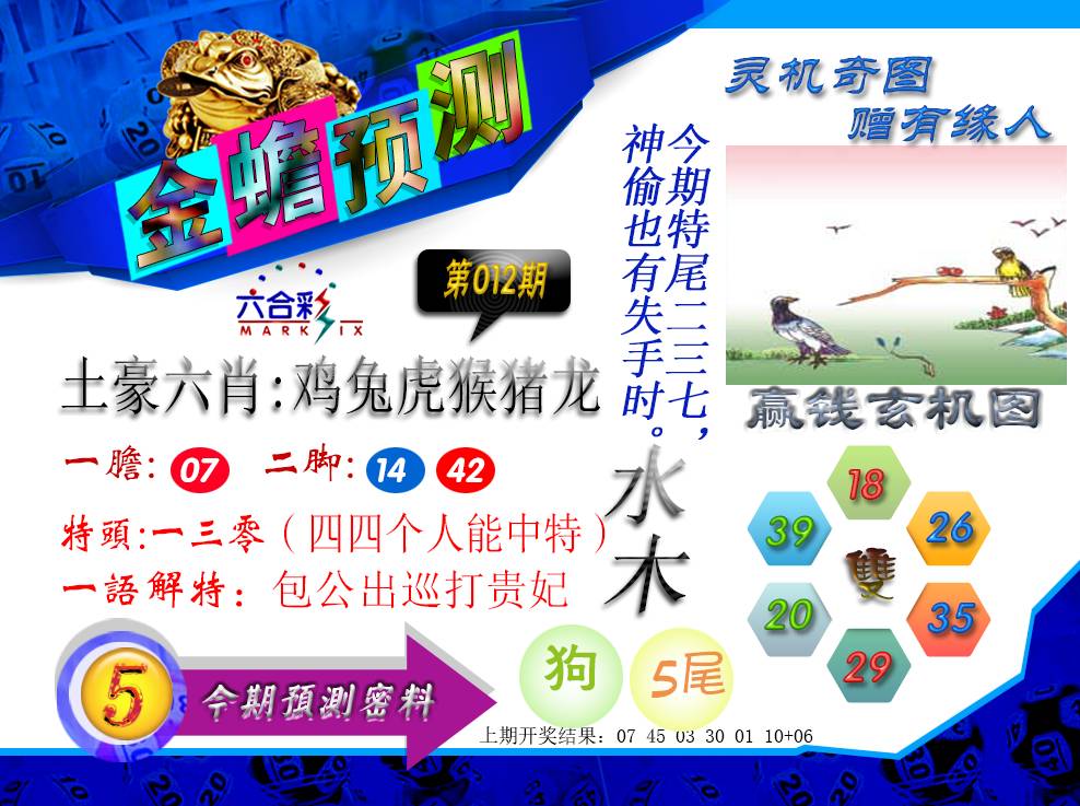 2025012期金蟾预测