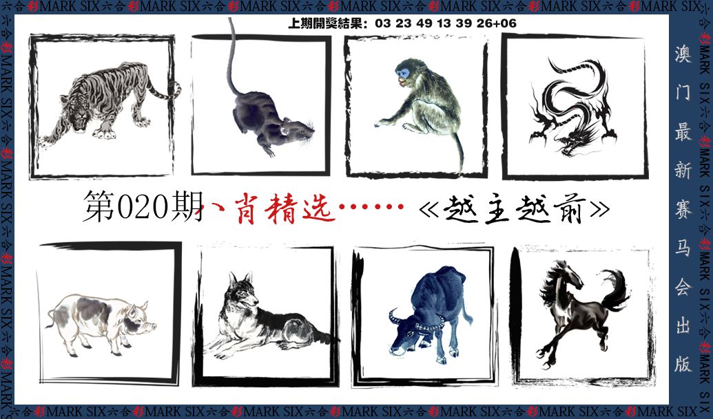 2025020期八肖精选
