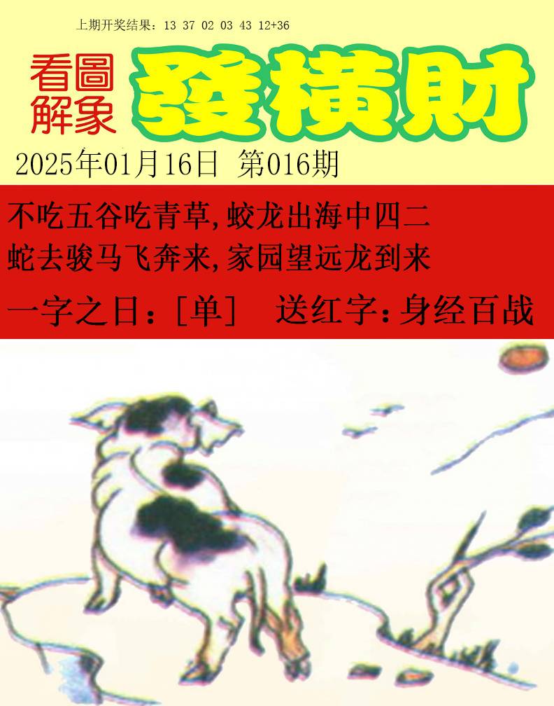 2025016期梦里寻码
