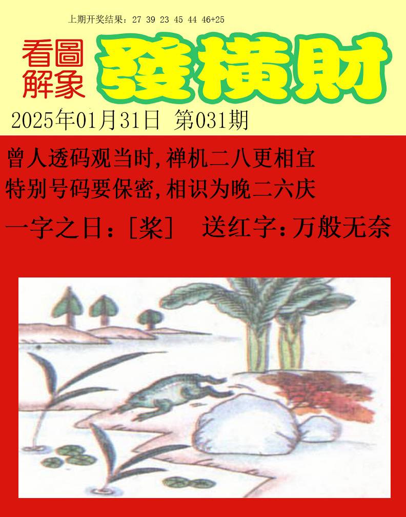 2025031期梦里寻码