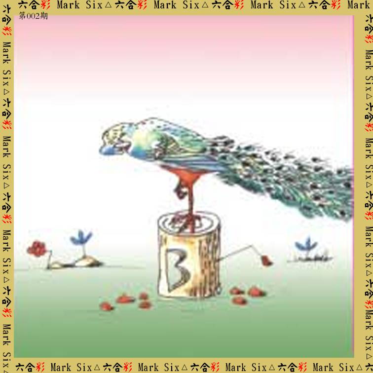 2025002期藏宝图