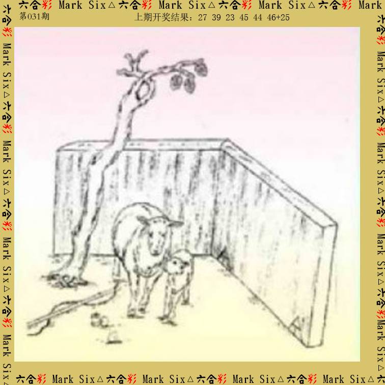 2025031期藏宝图