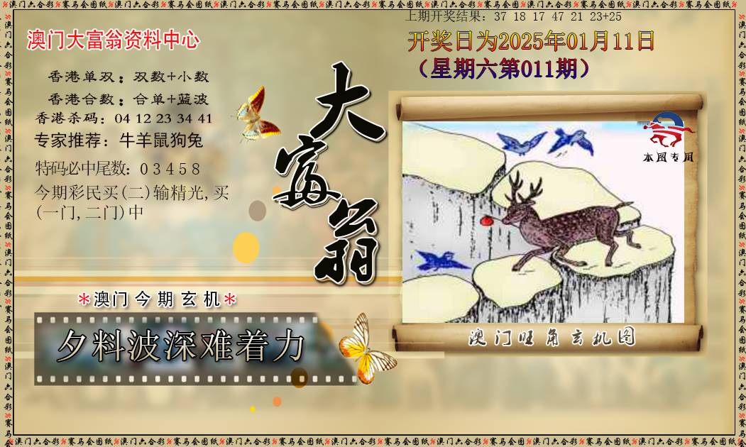 2025011期新大富翁
