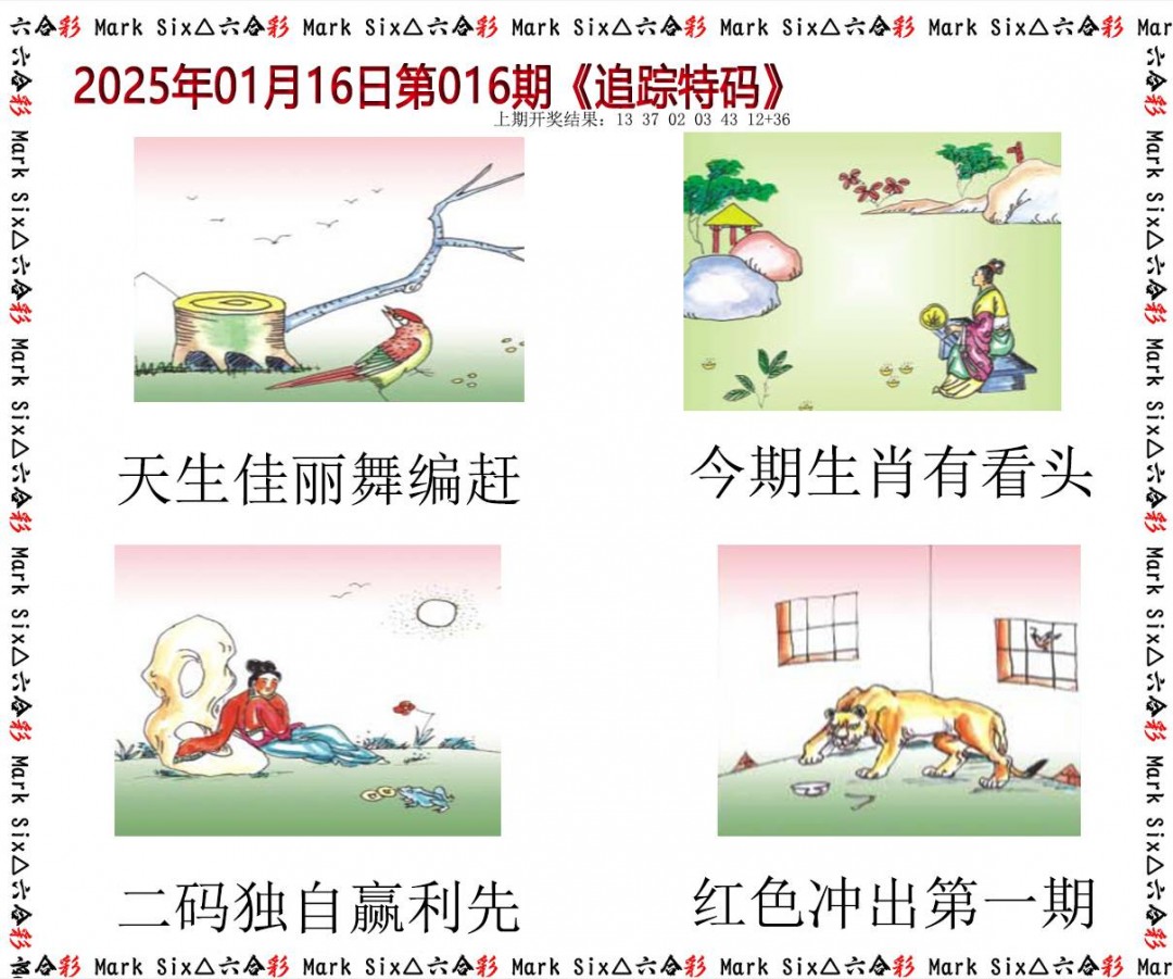 2025016期追踪特码