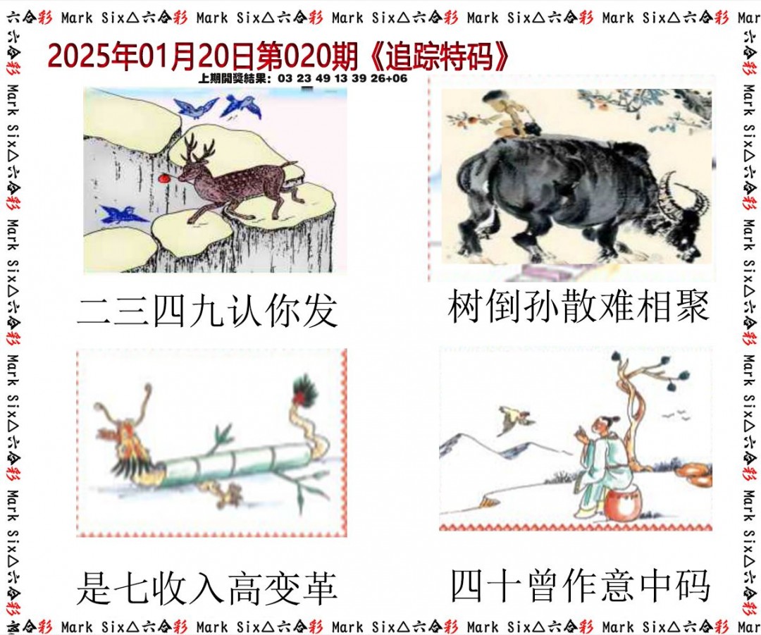 2025020期追踪特码