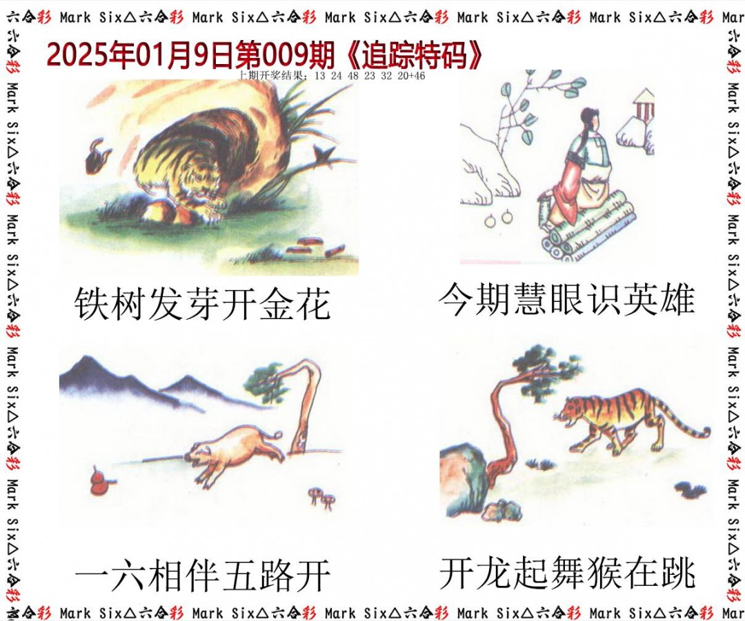 2025009期追踪特码