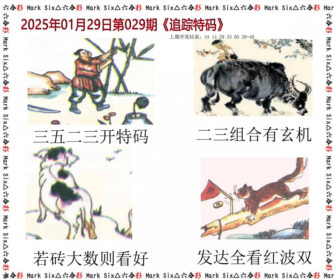 2025029期追踪特码