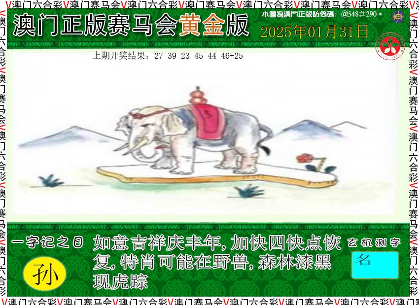 2025031期赛马会黄金版