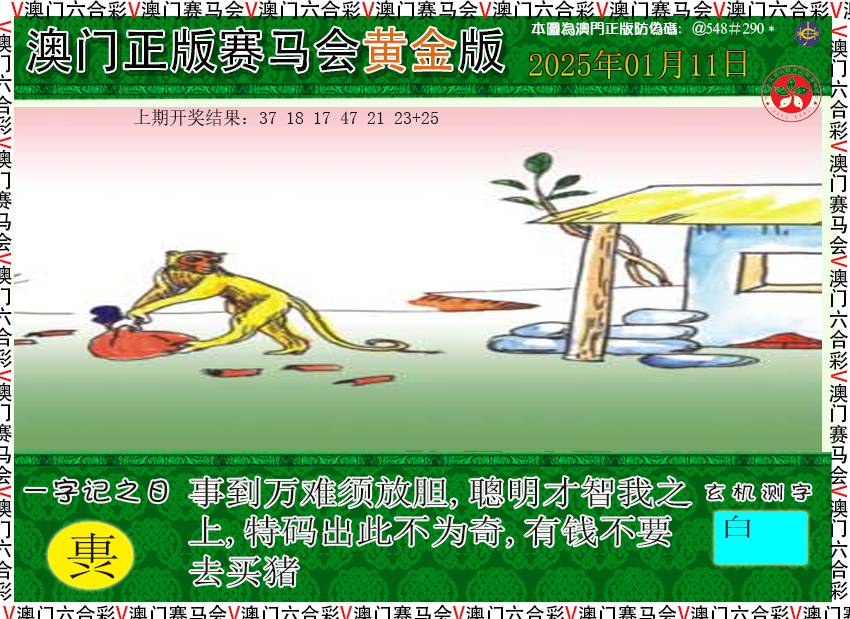 2025011期赛马会黄金版