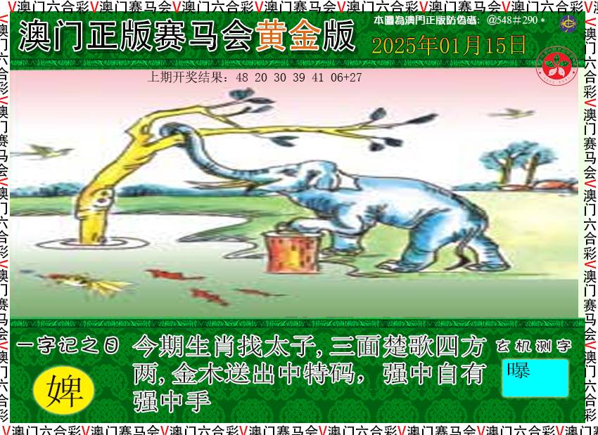 2025015期赛马会黄金版