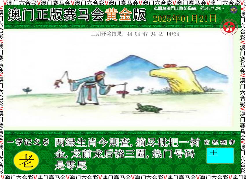 2025021期赛马会黄金版