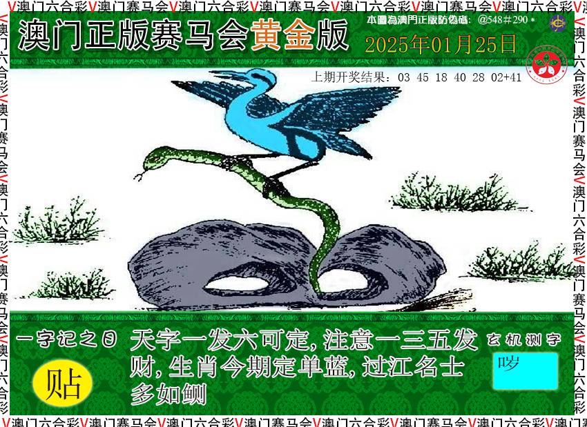 2025025期赛马会黄金版
