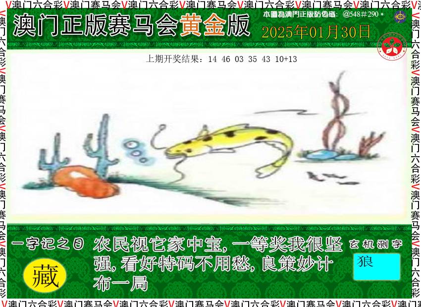 2025030期赛马会黄金版