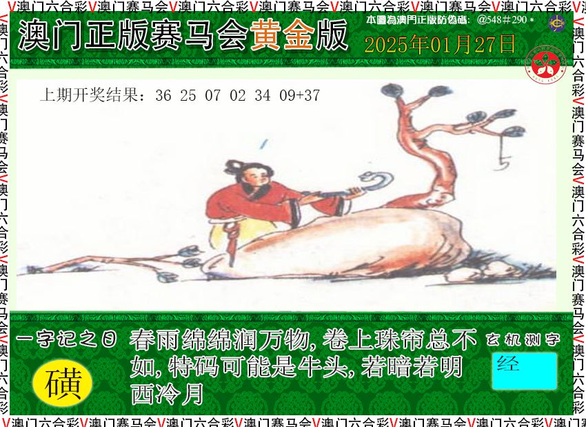 2025027期赛马会黄金版