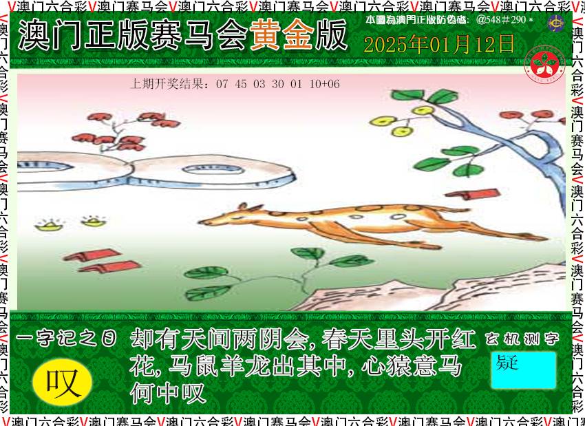2025012期赛马会黄金版