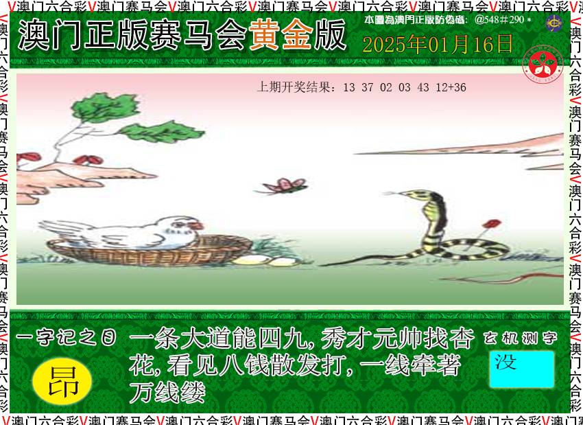 2025016期赛马会黄金版