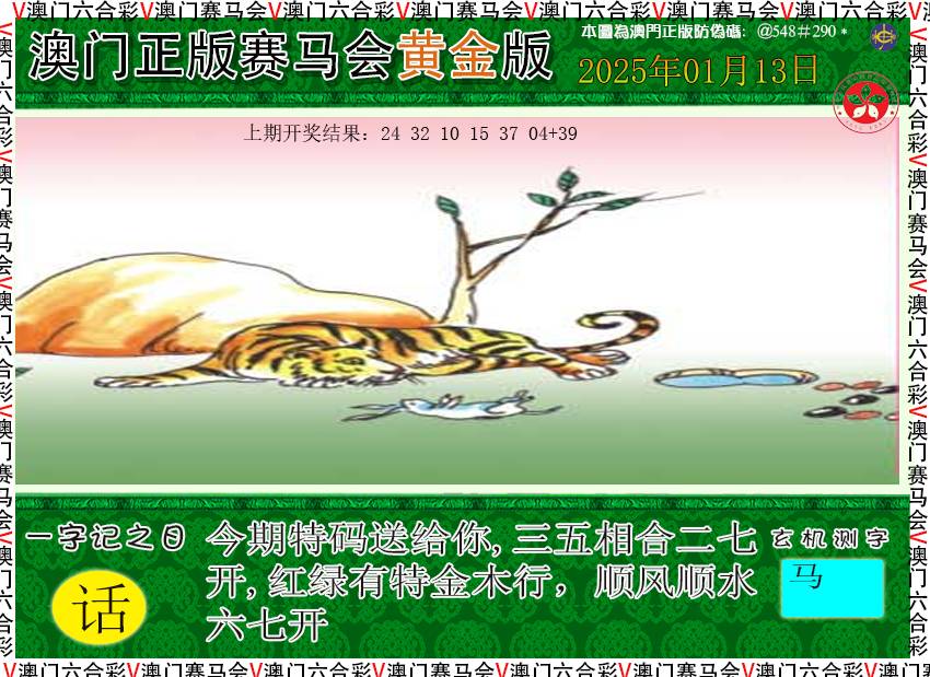 2025013期赛马会黄金版