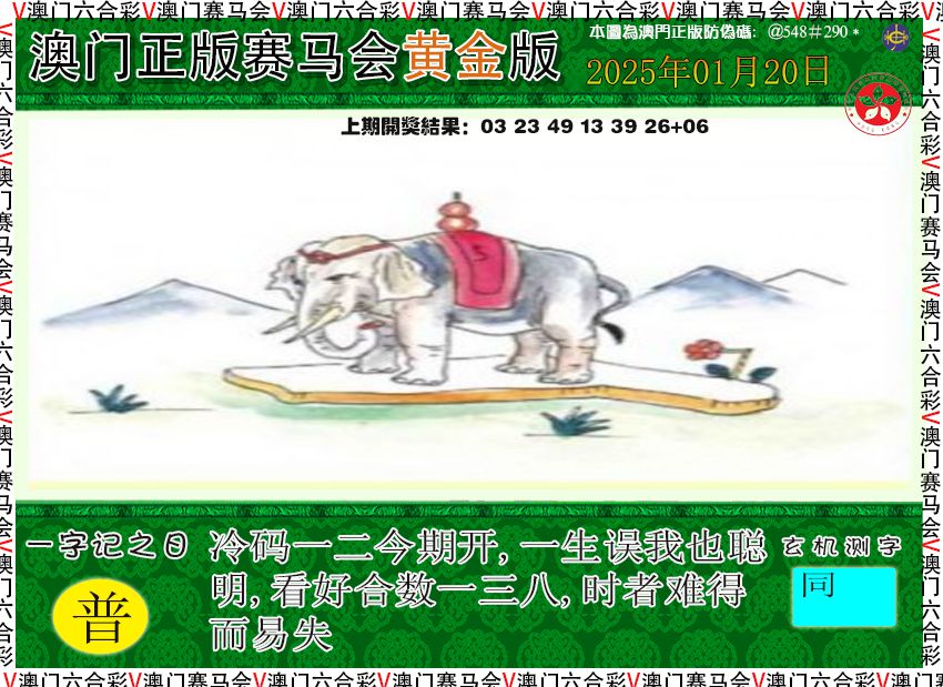 2025020期赛马会黄金版