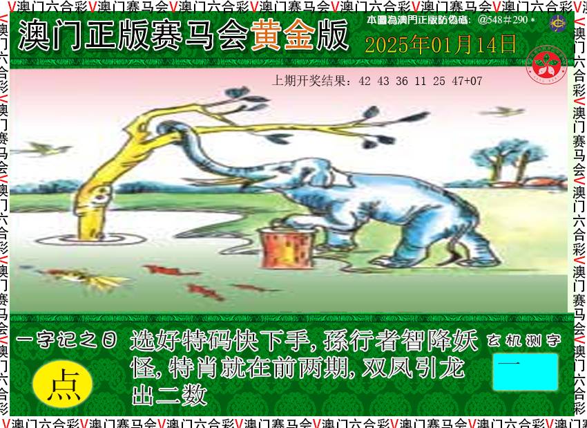 2025014期赛马会黄金版
