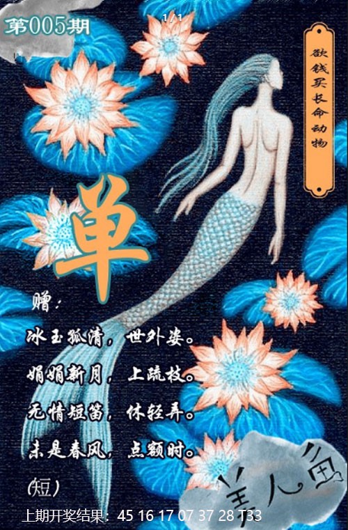 2025005期美人鱼单双中特图