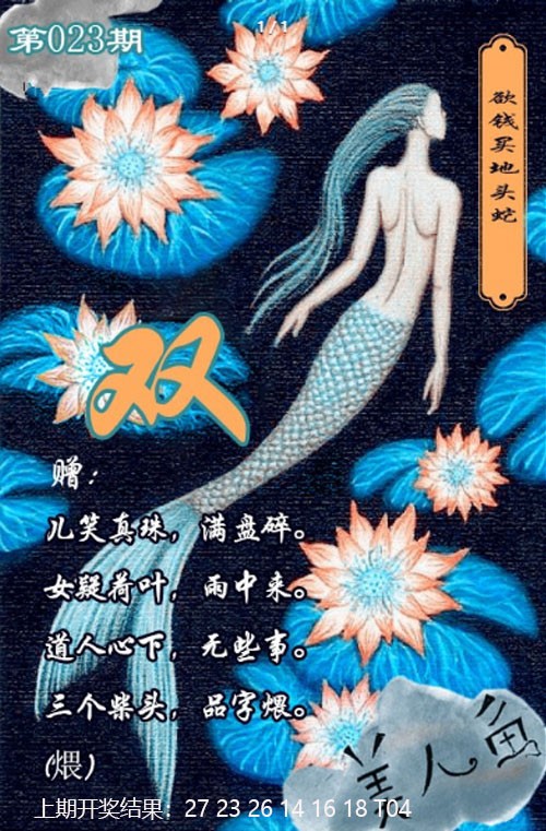2025023期美人鱼单双中特图