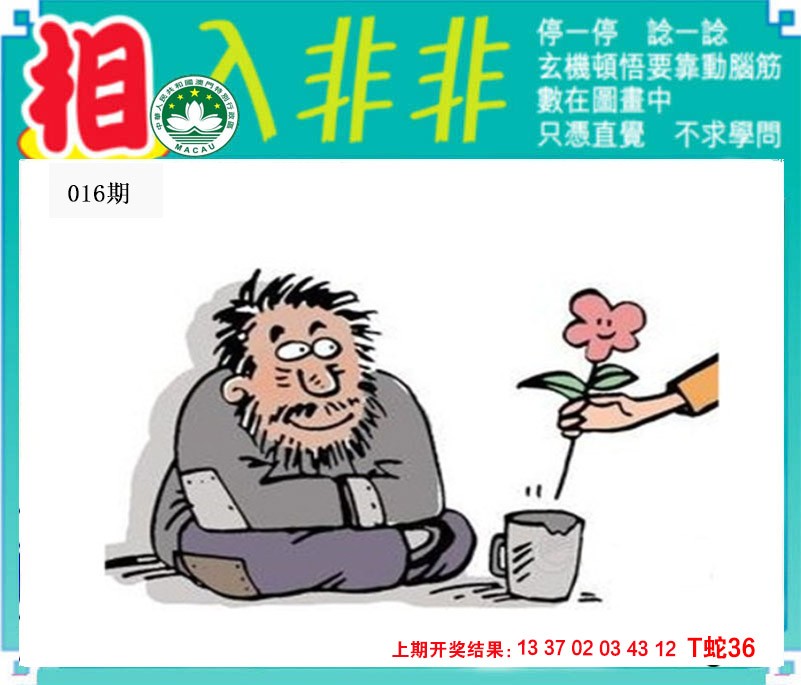 2025016期相入非非