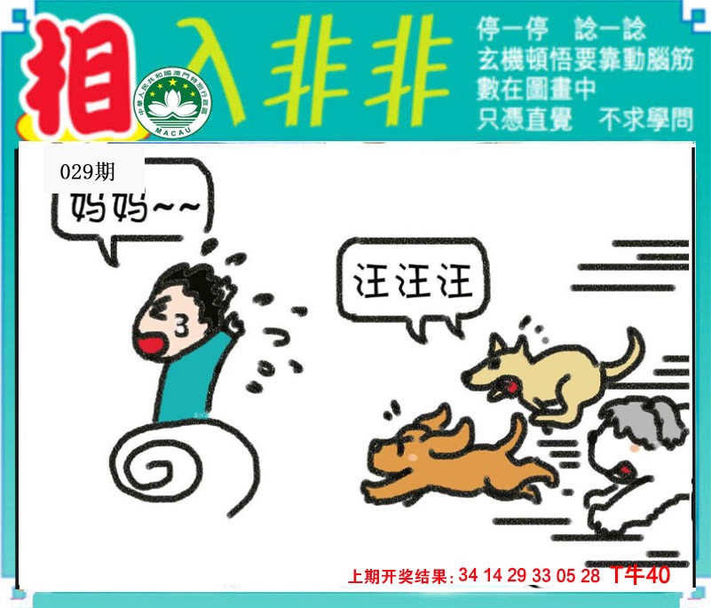 2025029期相入非非