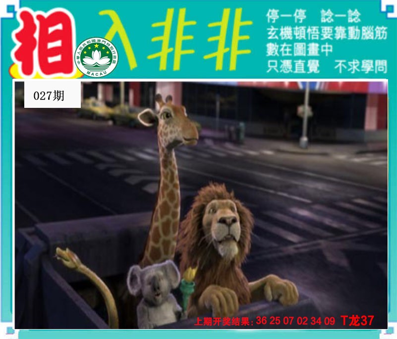 2025027期相入非非