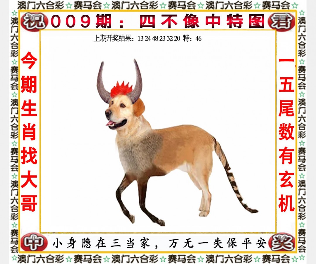 2025009期四不像中特图